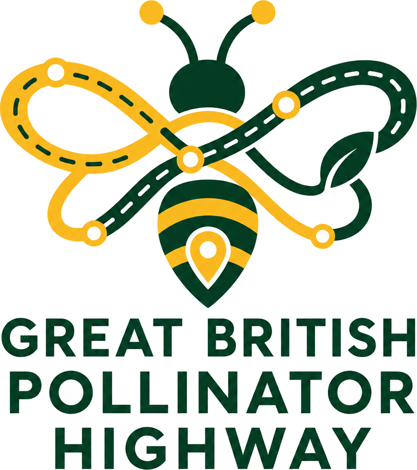 Great British Pollinator Highway